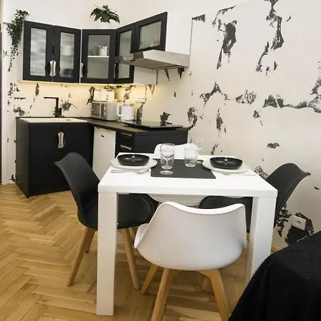 Apartment Black & White Apartment Prague By Wenceslas Square And Muzeum Prague