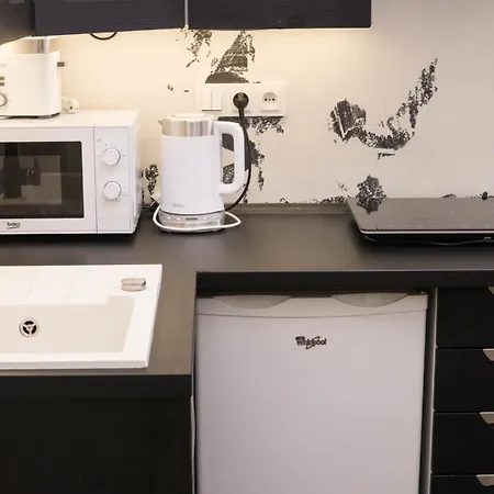Black & White Apartment Prague By Wenceslas Square And Muzeum * Prague